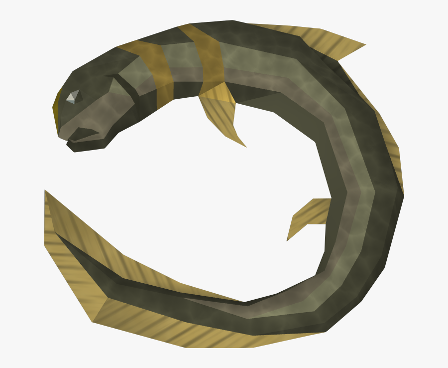 Raw Short Finned Eel - Bag, Transparent Clipart