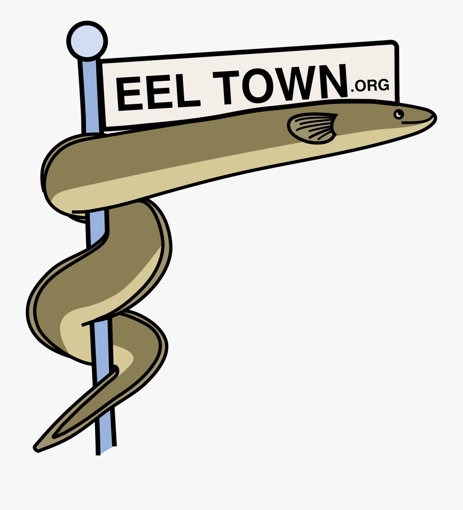 Zealand Longfin Eel Glass Eels Eel Navigational Path, Transparent Clipart