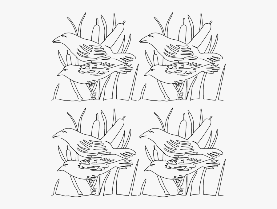 Sketch, Transparent Clipart