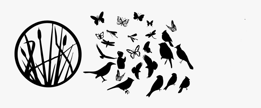 Silhouette, Transparent Clipart