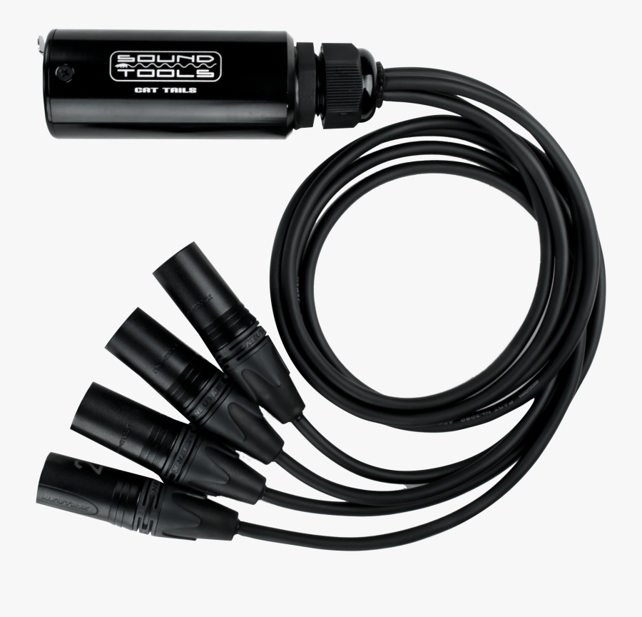 Cattails Black & White Clipart, Transparent Clipart