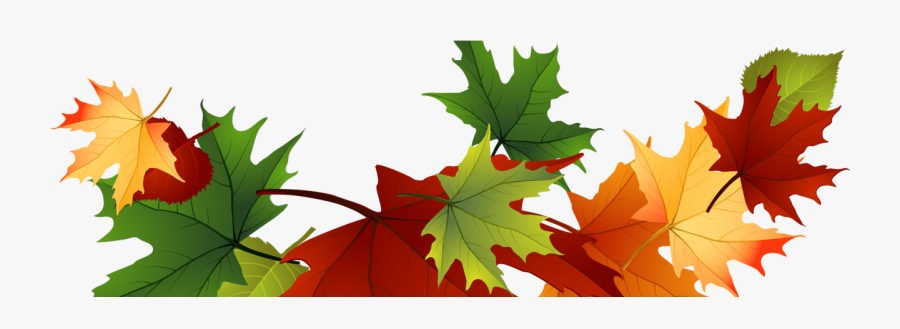 Fall Leaves Clipart Free, Transparent Clipart