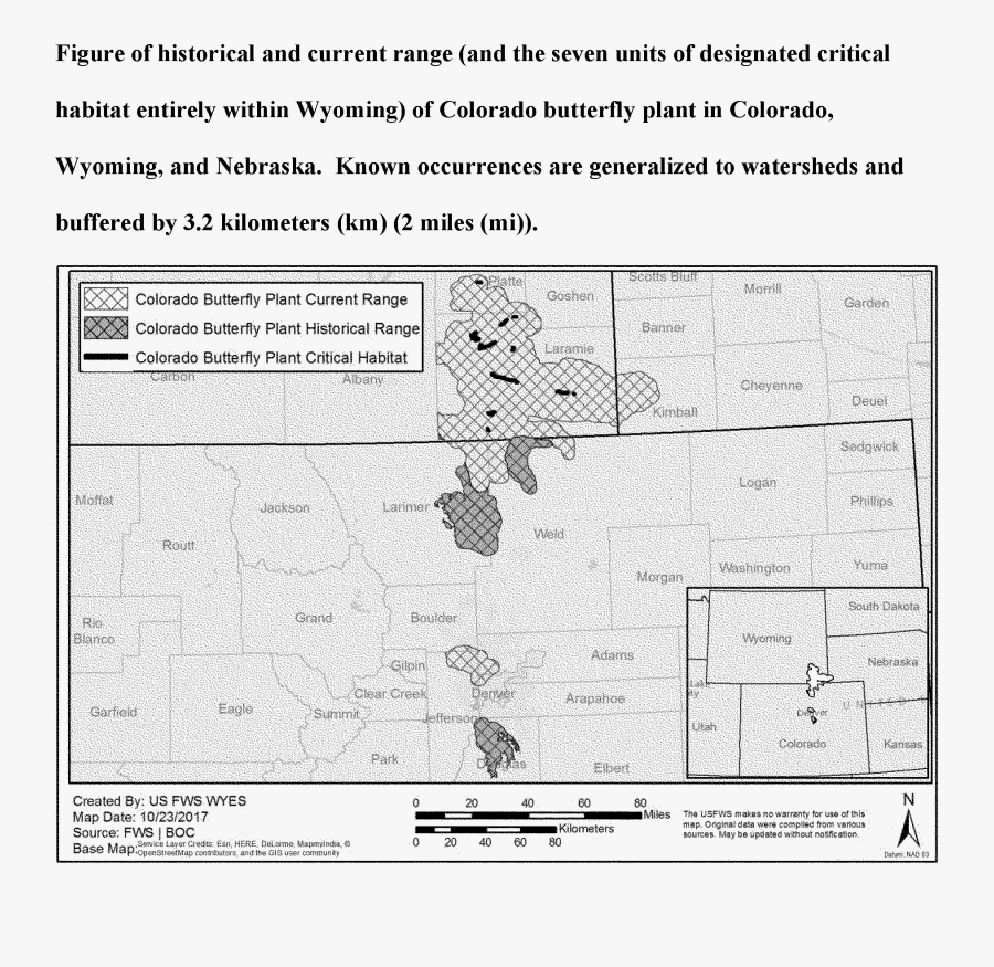 Diagram, Transparent Clipart
