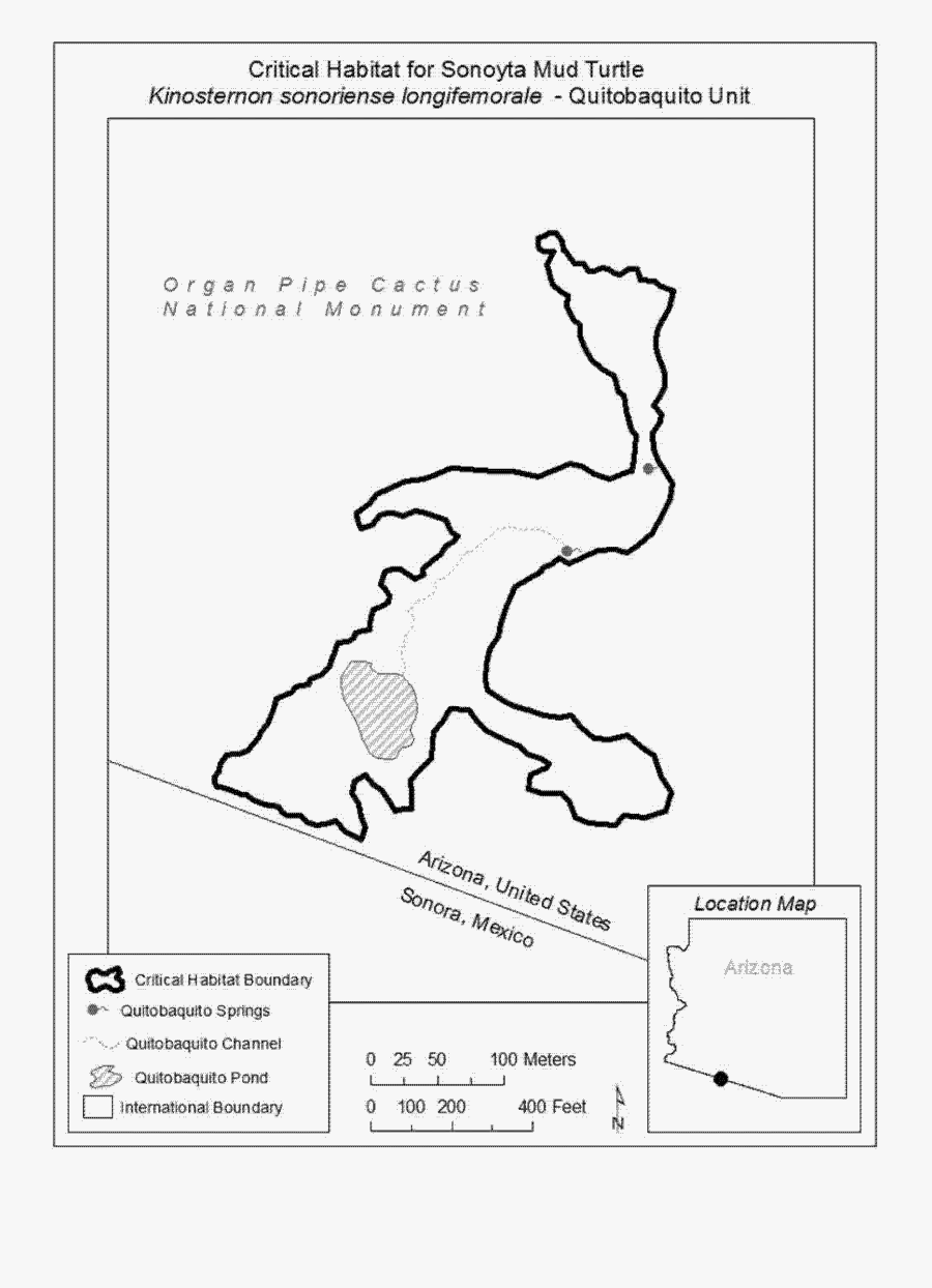 Line Art, Transparent Clipart