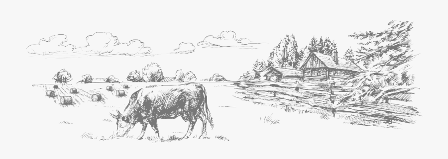 Sketch, Transparent Clipart