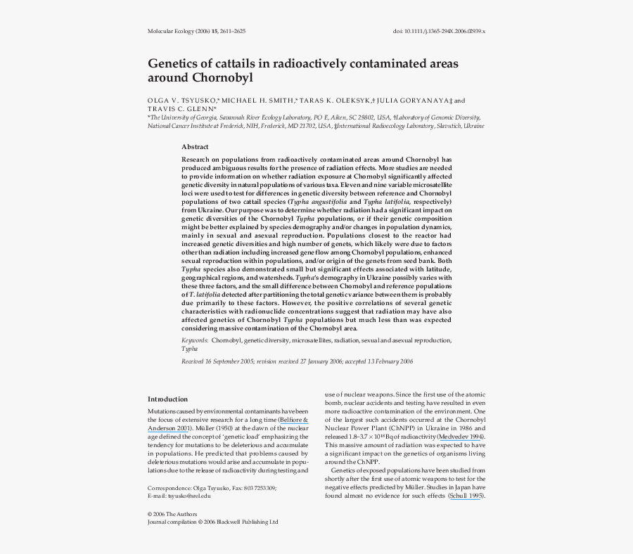 Goose Tower In Vordingborg, Zealand, Transparent Clipart