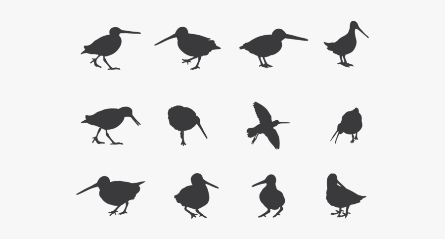 Snipe Silhouettes Vector - Snipe Bird Png Silhouette, Transparent Clipart