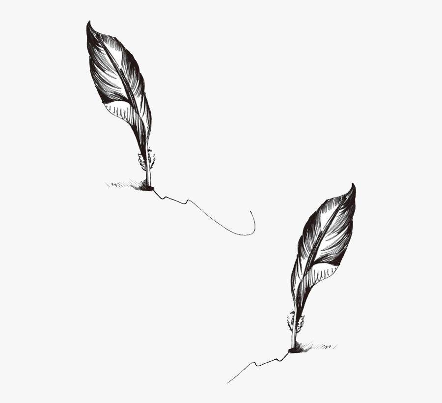 Clip Art Feather Pen Tattoo - Leaf Tattoo Png Transparent, Transparent Clipart