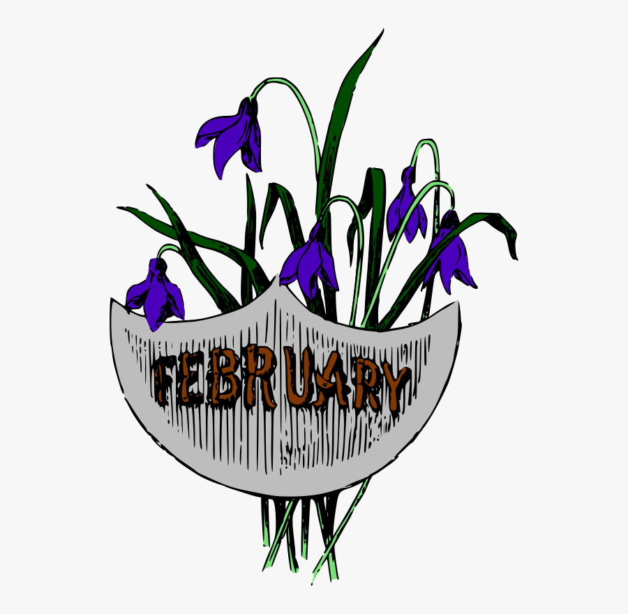 Violet Clipart February Flower - Clip Art, Transparent Clipart