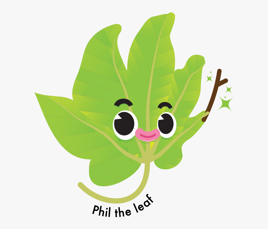 Phil, A Leaf From The Native Broad Leaved Sterculia - Cartoon, Transparent Clipart
