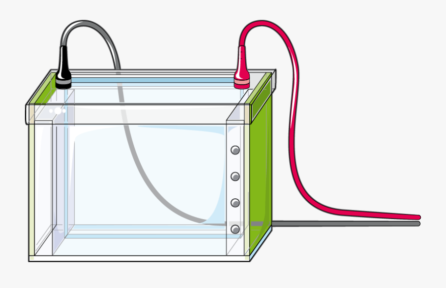 Illustration, Transparent Clipart
