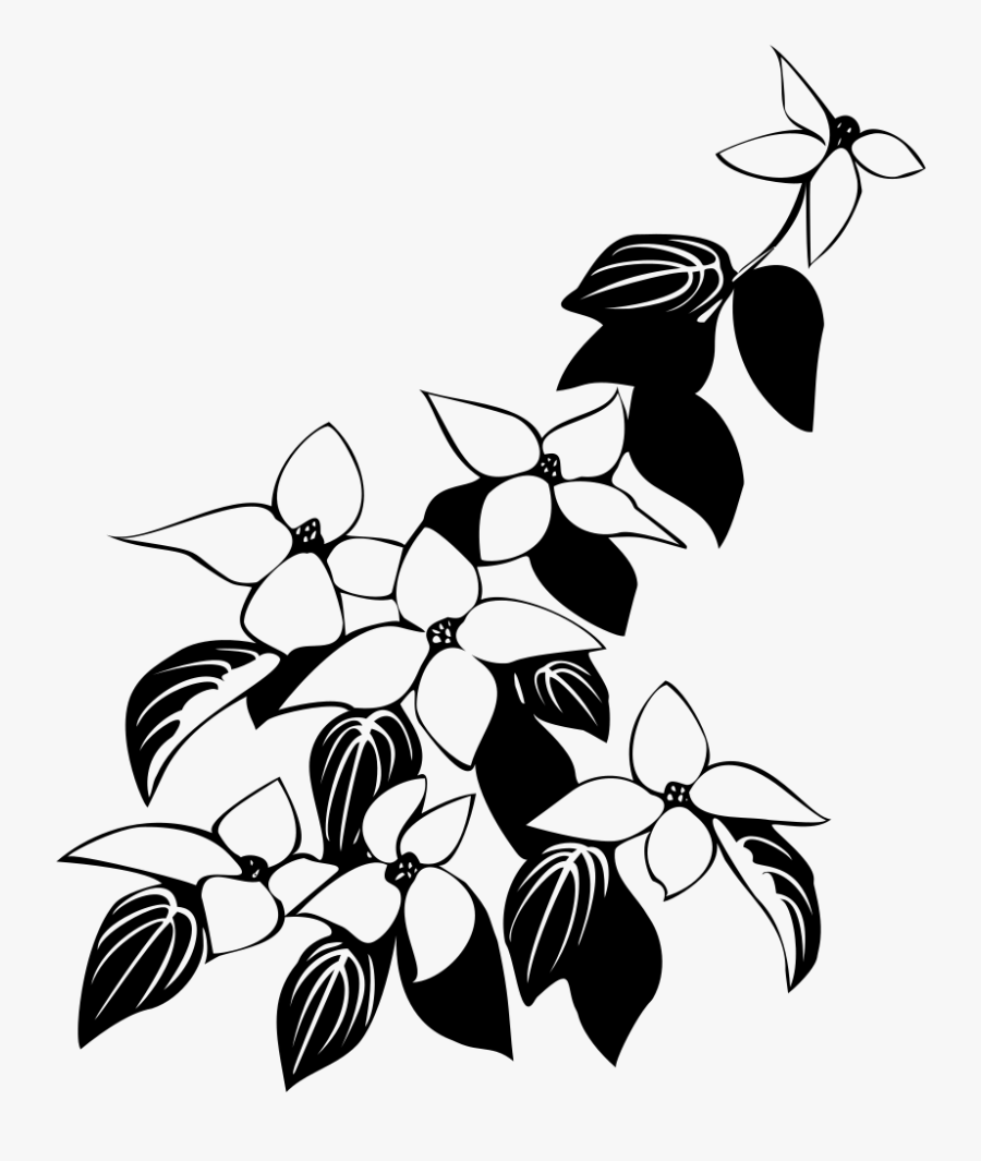 Cornus Kousa Flowers And Leaves - Leaves And Flowers Line Art, Transparent Clipart