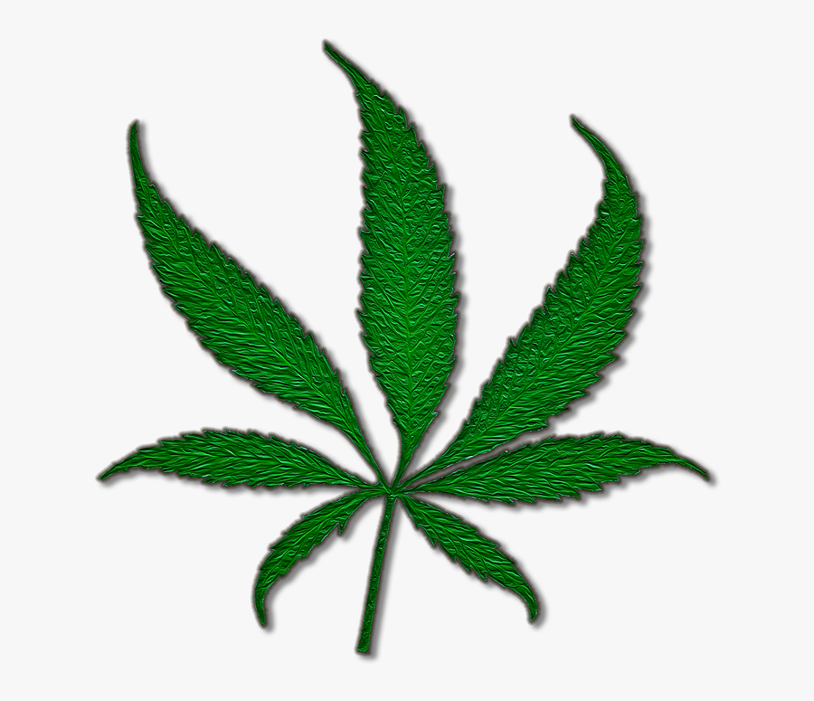 Medical Cannabis Marijuana Joint Cannabis Sativa - Pot Leaf Shower Curtain, Transparent Clipart