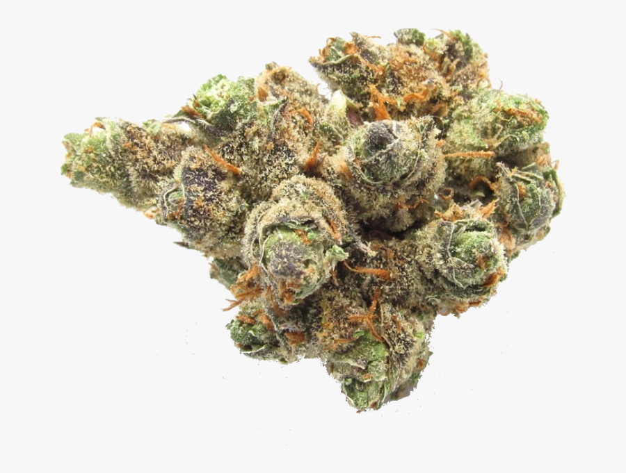 Haze Bud, Transparent Clipart