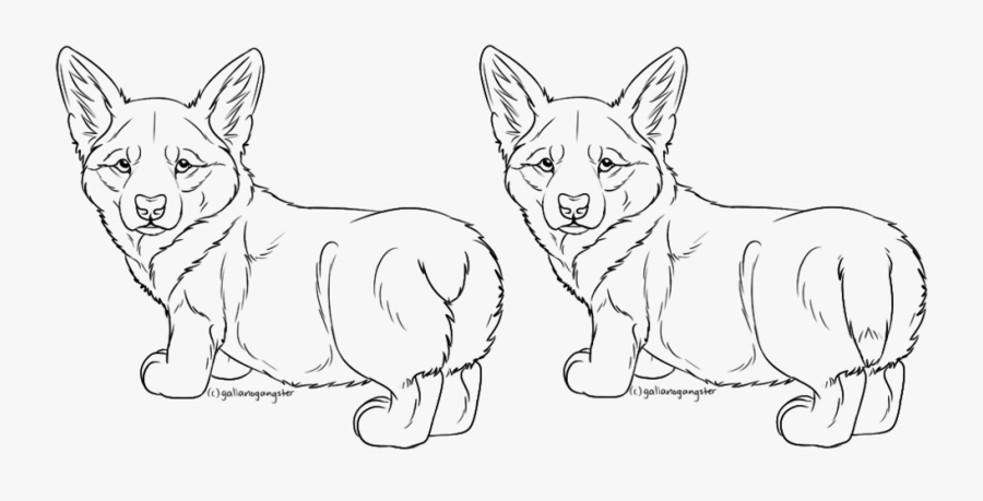 Corgi Lineart Black And White - Corgi Line Art, Transparent Clipart