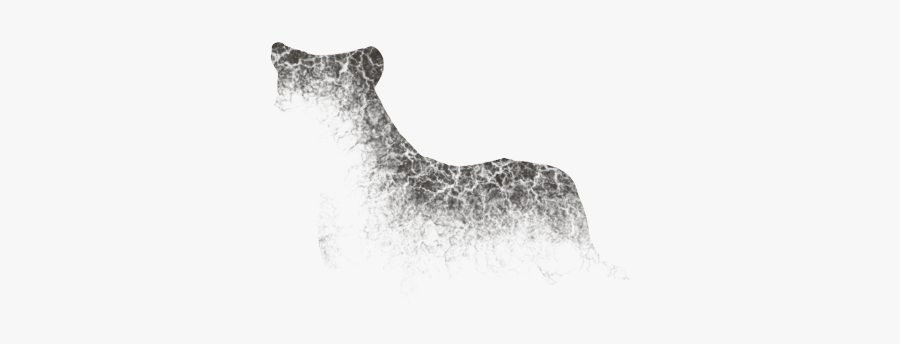 Alaskan Malamute, Transparent Clipart