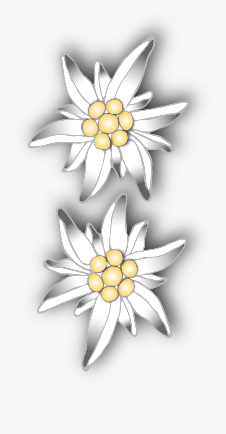 Artificial Flower, Transparent Clipart