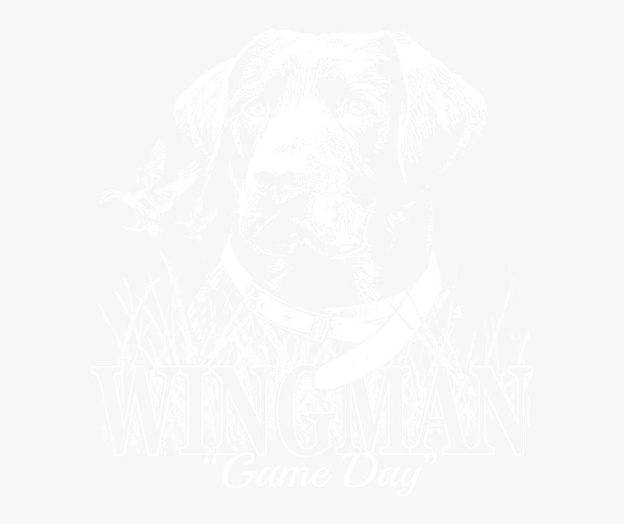 Transparent Labrador Retriever Png - Party, Transparent Clipart