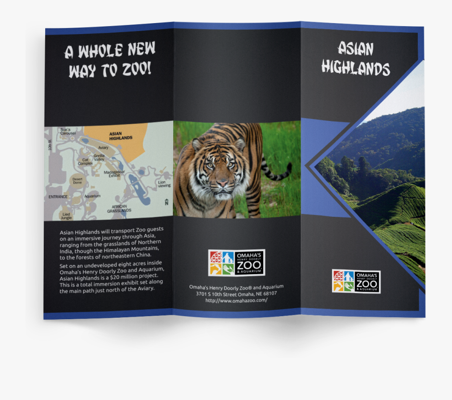 Transparent Asian Hat Png - Siberian Tiger, Transparent Clipart