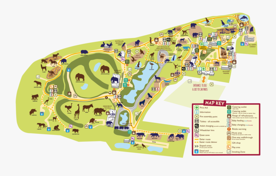 Colchester Zoo Map Zoo Map - Colchester Zoo Map, Transparent Clipart