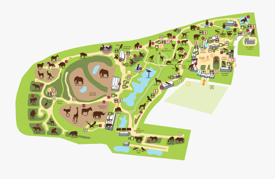 Colchester Zoo Map Zoo Map Colchester Zoo - Colchester Zoo Map 2017, Transparent Clipart