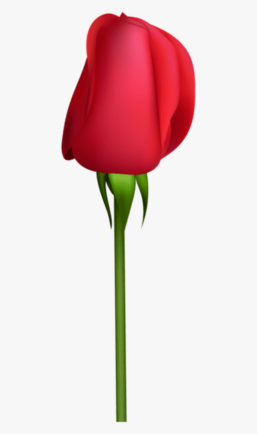 Free Png Download Rose Bud Transparent Png Images Background Clipart