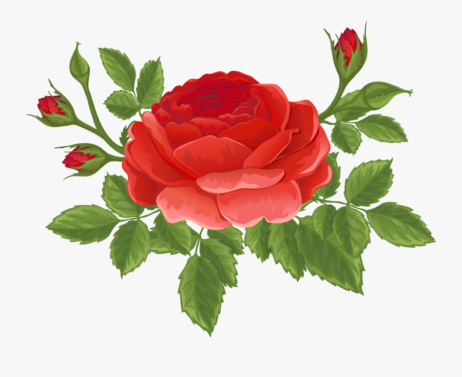 Bud Clipart, Transparent Clipart