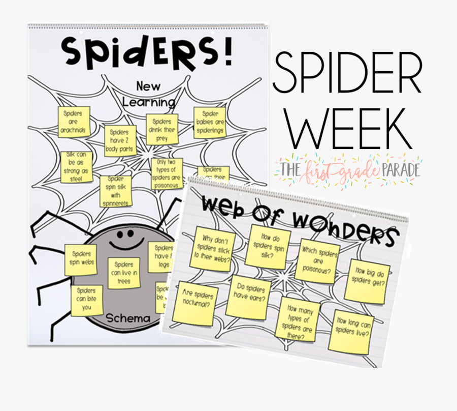 Spiders Anchor Chart, Transparent Clipart