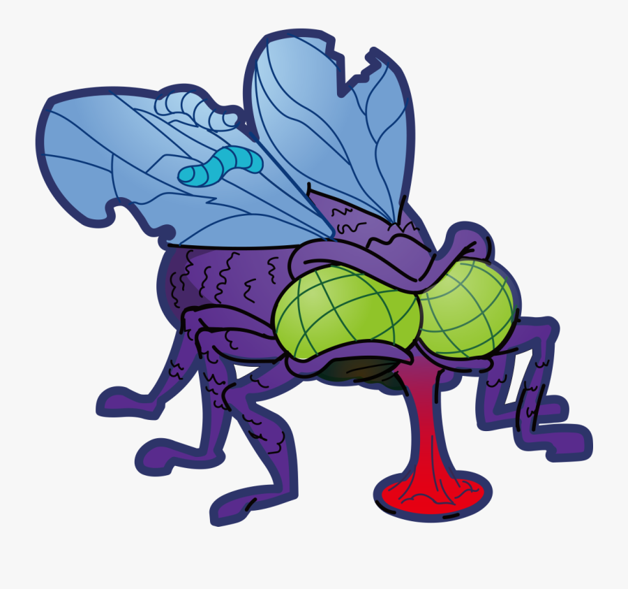 Illustration, Transparent Clipart