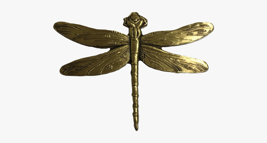 Damselfly, Transparent Clipart