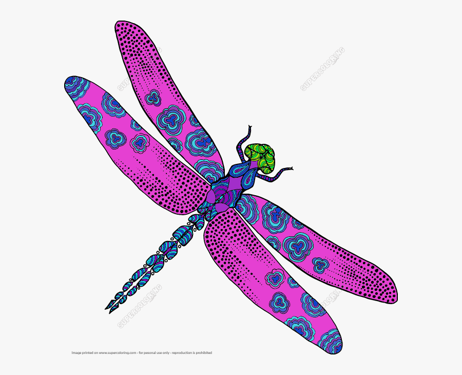 Background - Dragonfly, Transparent Clipart