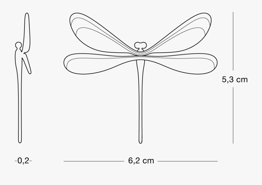 Vila - Net-winged Insects, Transparent Clipart