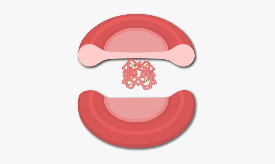 Red Blood Cell Png, Transparent Clipart