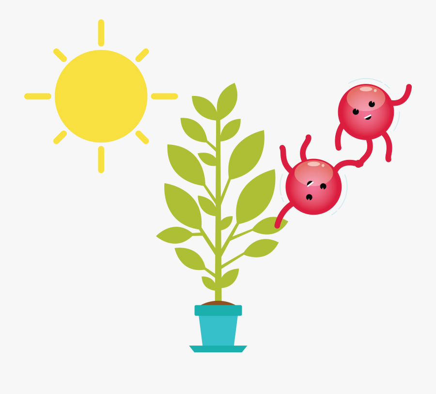 Sunlight For The Plants Clipart, Transparent Clipart