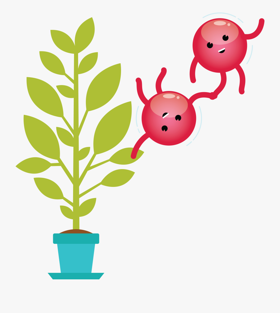 Sunlight For The Plants Clipart, Transparent Clipart