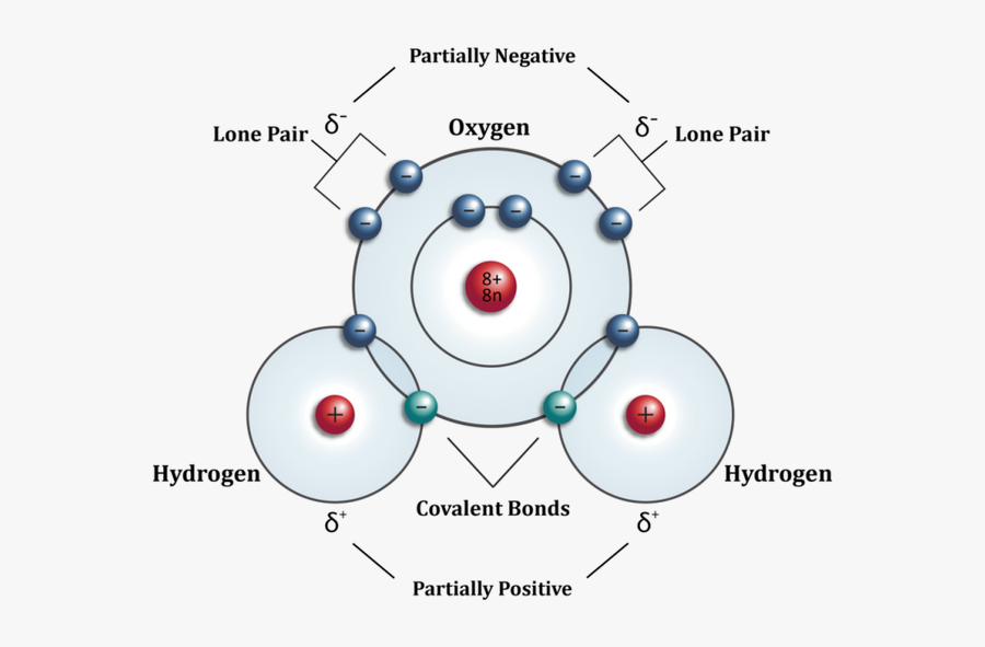 Atom Structure Of Hydrogen, Transparent Clipart