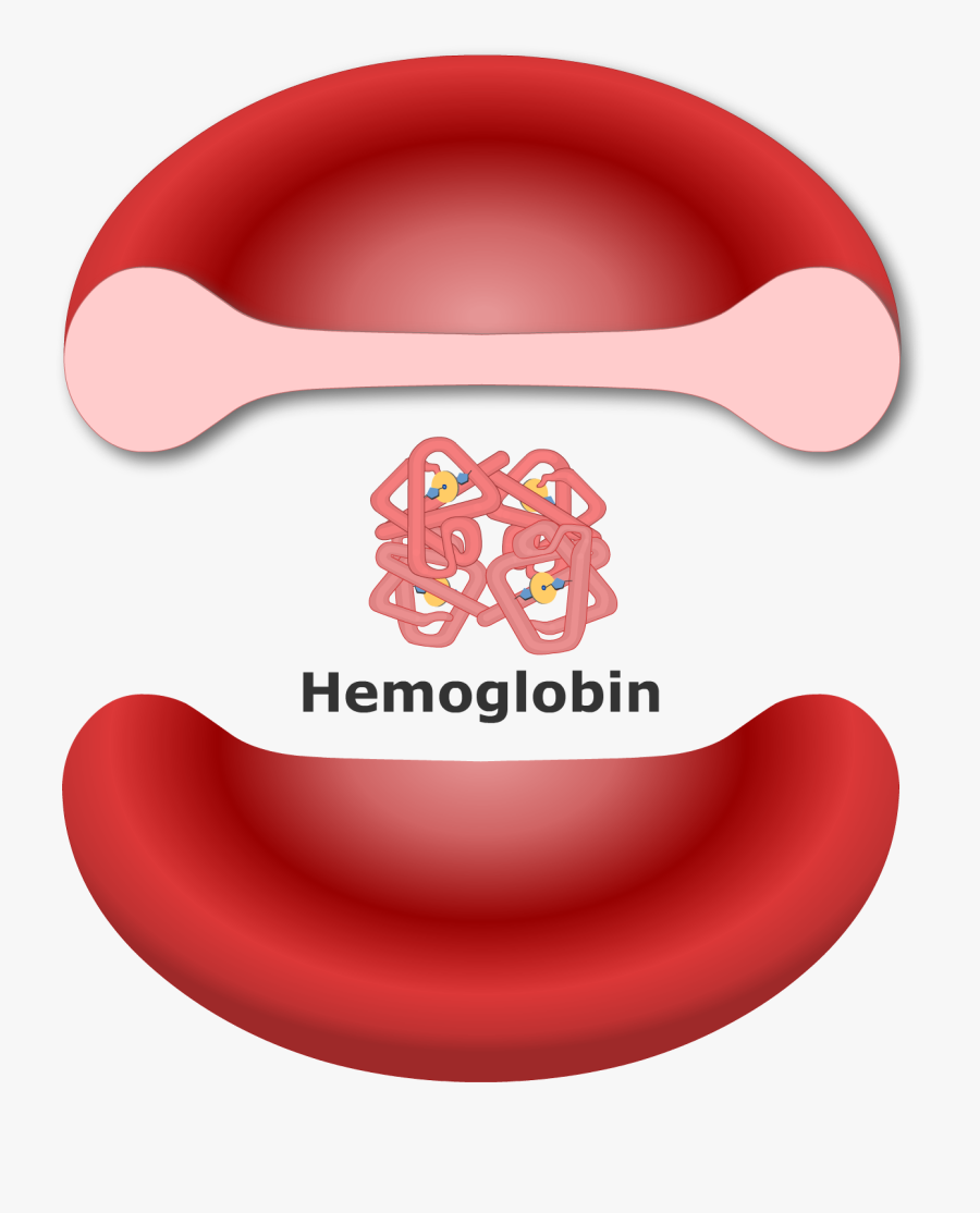 Hemoglobin Clipart, Transparent Clipart