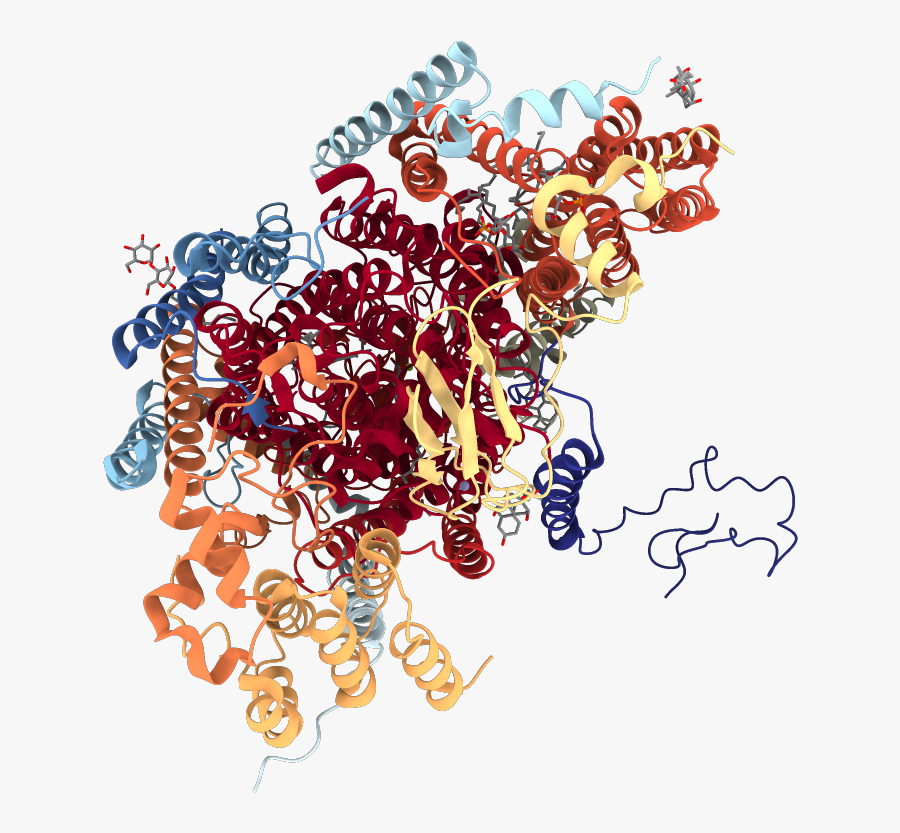 Illustration, Transparent Clipart