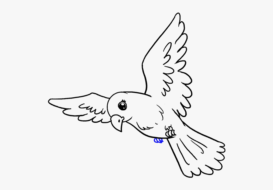 Clip Art Bird Drawing - Drawing Bird, Transparent Clipart