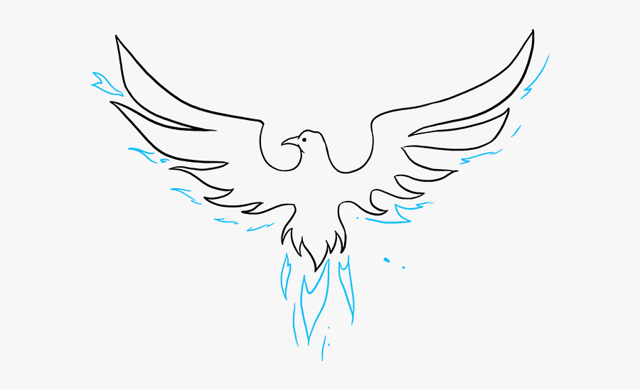 How To Draw Phoenix - Bird Easy Drawing, Transparent Clipart