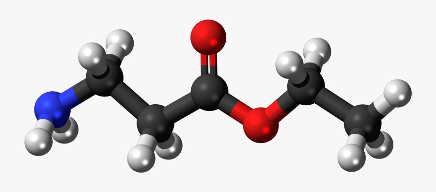 Beta Alanine Ethyl Ester 3d Balls - Acidos Grasos De Cadena Corta, Transparent Clipart
