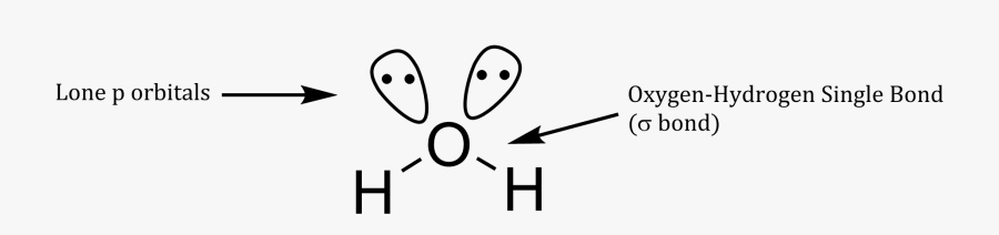 Line Art, Transparent Clipart