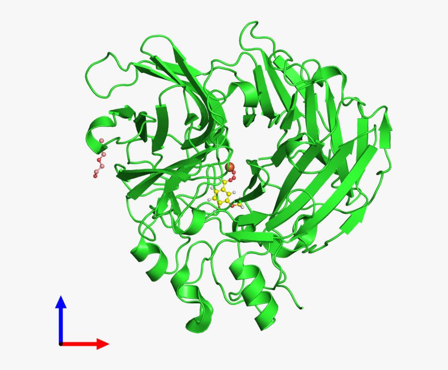 Graphic Design, Transparent Clipart