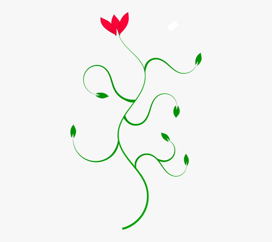 Transparent Curved Line Clipart - Sanskrit Katha, Transparent Clipart