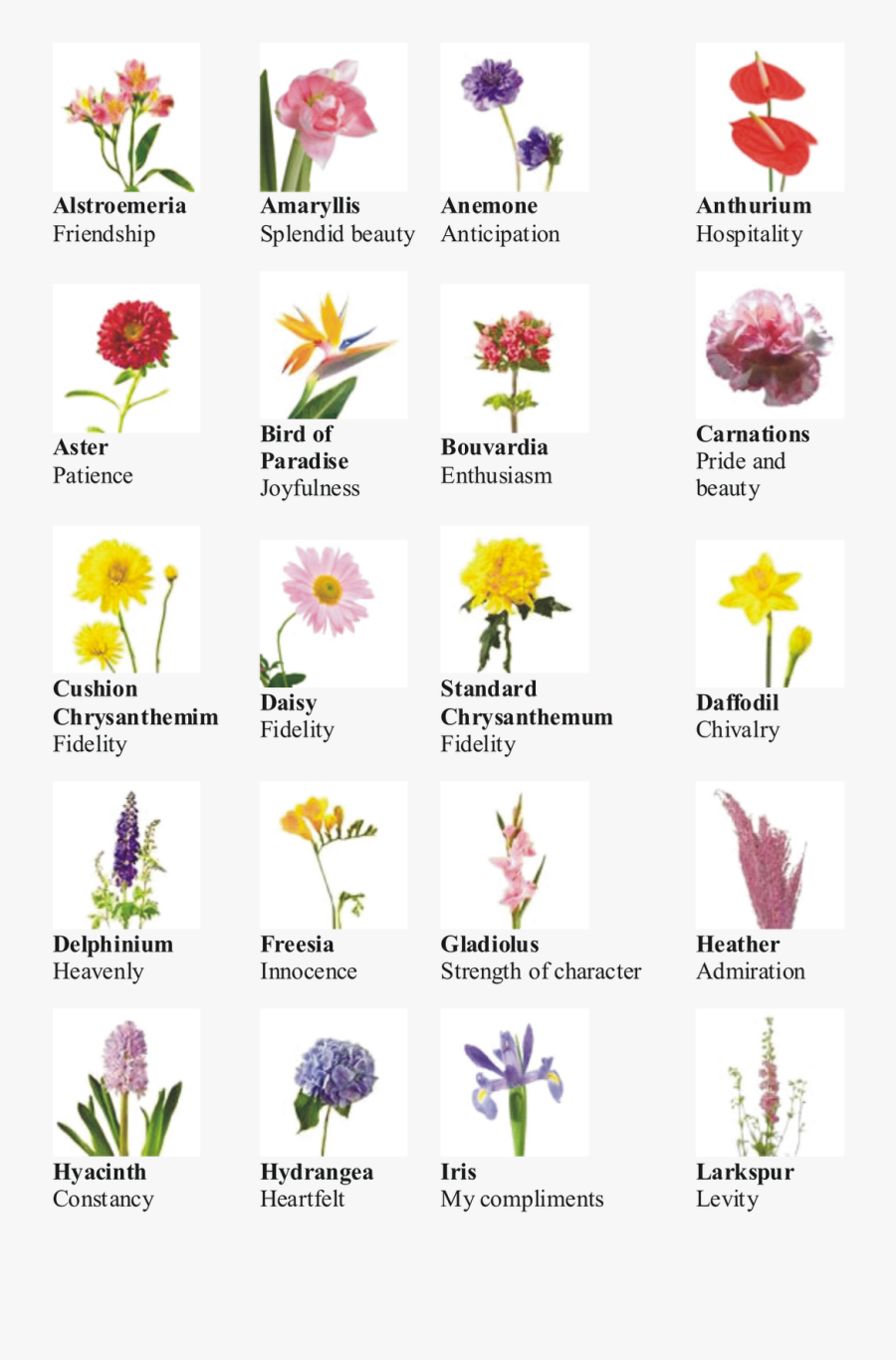 Name Kinds Of Flowers, Transparent Clipart
