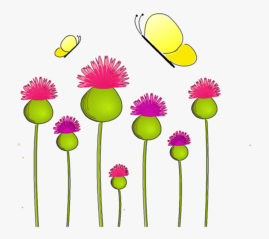Anemone, Nature, Thistle, Lady, Wild Plant, Flora - My Favourite Summer Treat, Transparent Clipart