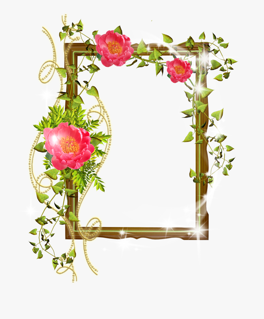 Wild Flowers Png, Transparent Clipart