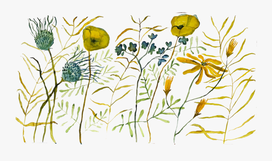 Judymuralflowers, Transparent Clipart