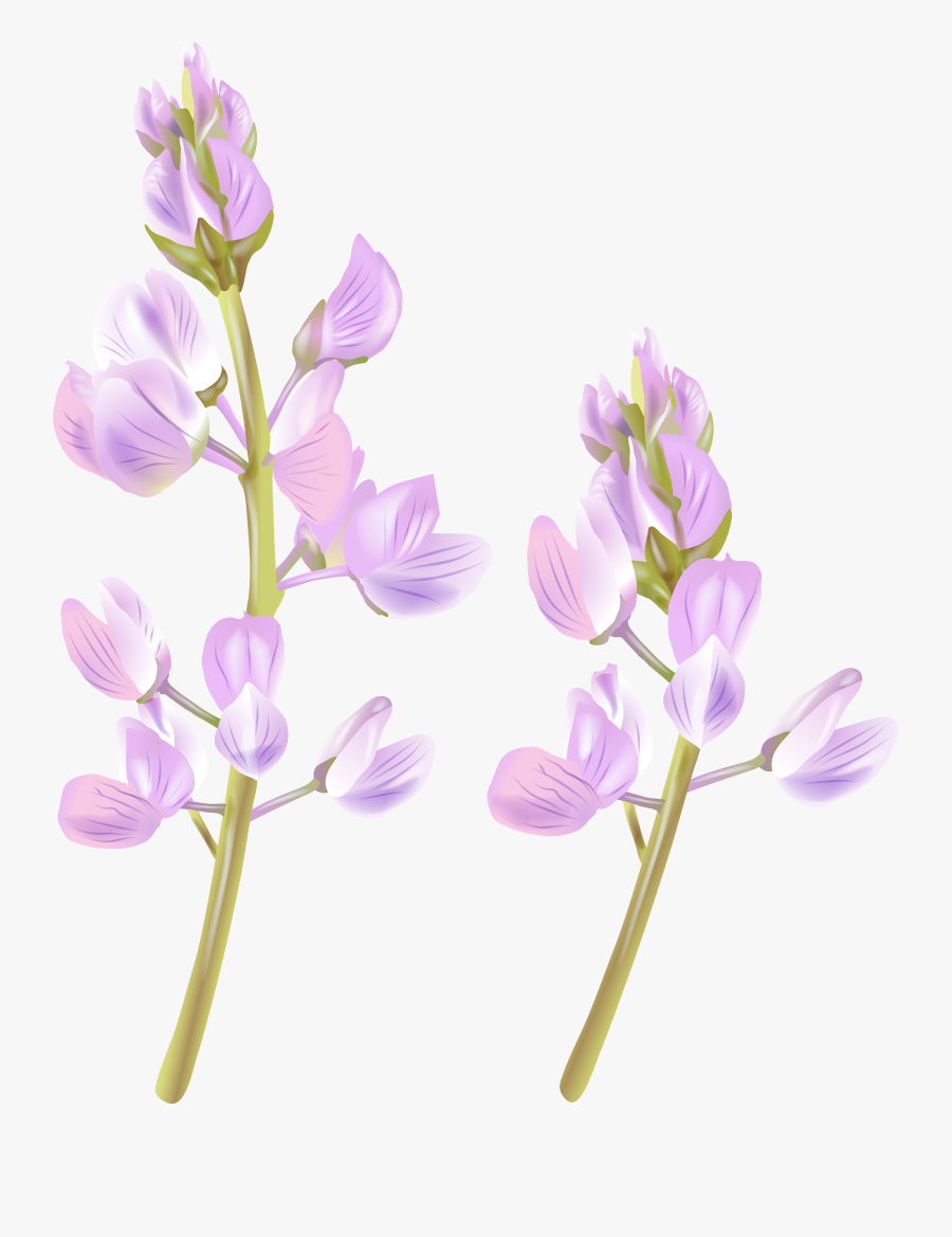 Wildflowers Png Clipart Uploaded By The Best User, Transparent Clipart