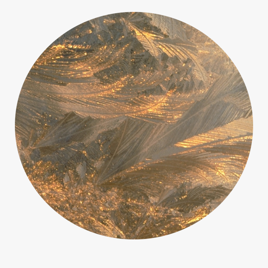 Circle, Transparent Clipart